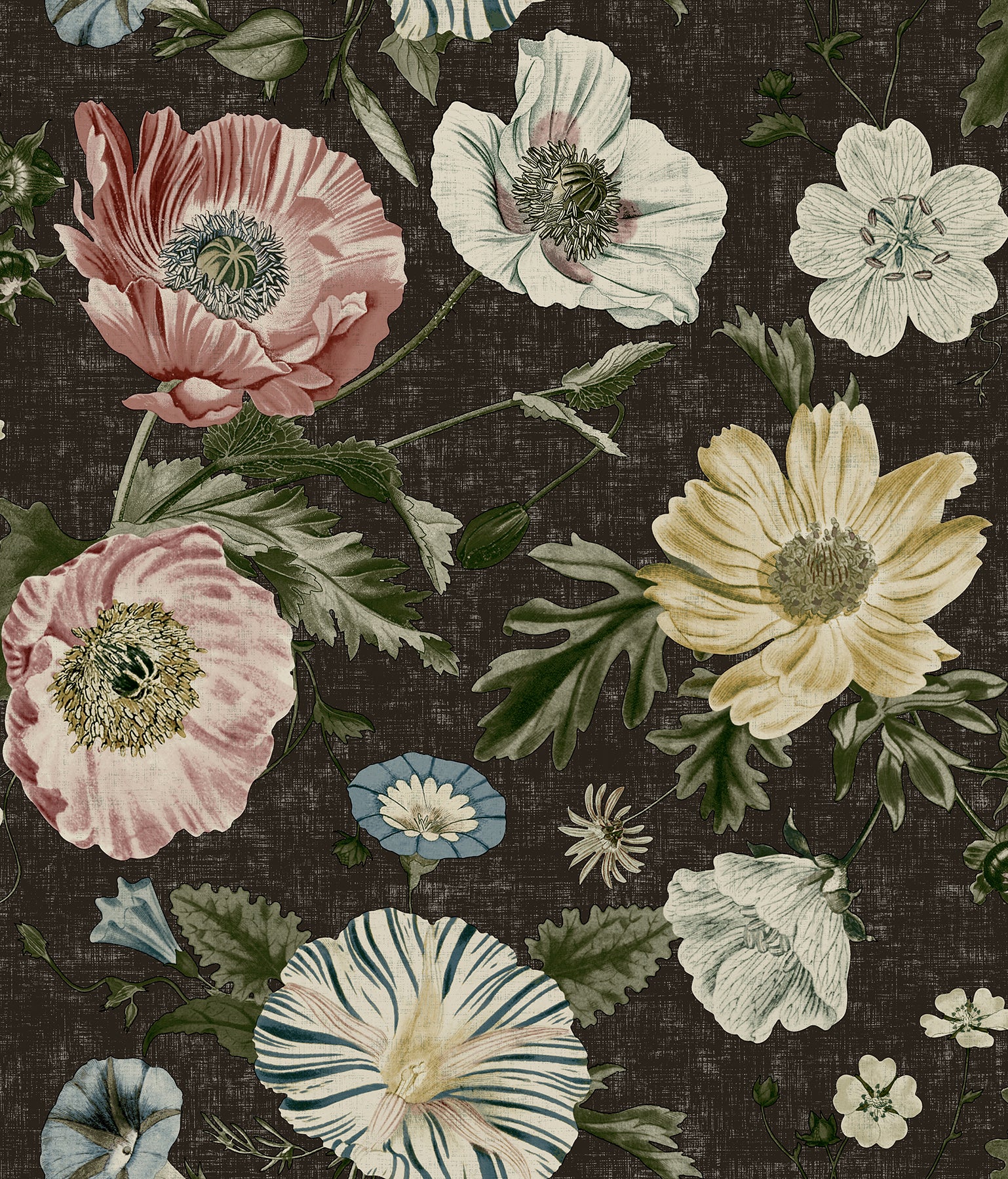 Vintage Poppy Peel \u0026 Stick Wallpaper